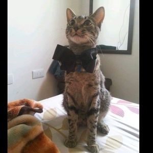 Meet your Posher, Cindy kimbelly